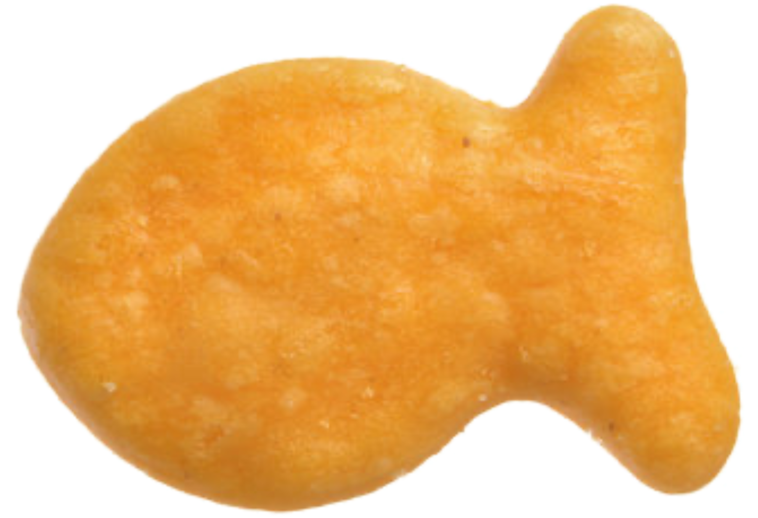 goldfish cracker